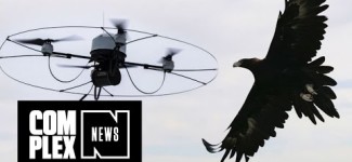 Cops Training Eagles to Take Down Drones